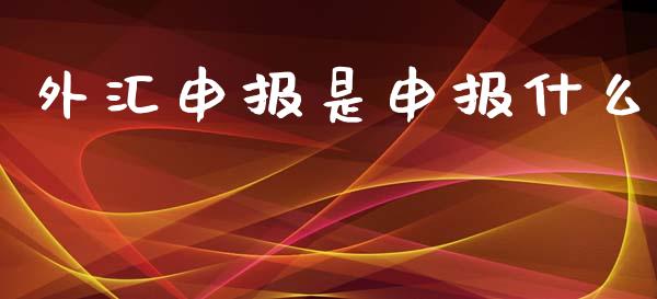外汇申报是申报什么_https://wap.lxcailiao.com_股权投资_第1张