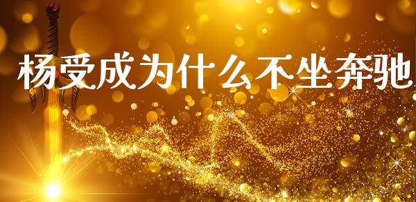杨受成为什么不坐奔驰_https://wap.lxcailiao.com_融资担保_第1张