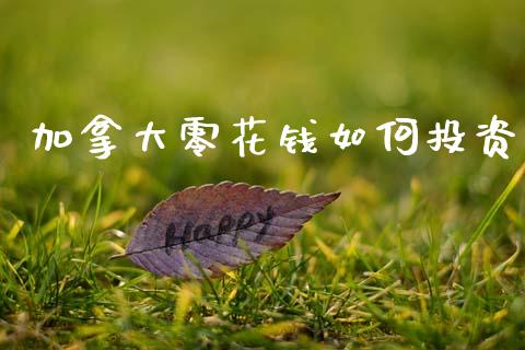 加拿大零花钱如何投资_https://wap.lxcailiao.com_金融监管_第1张