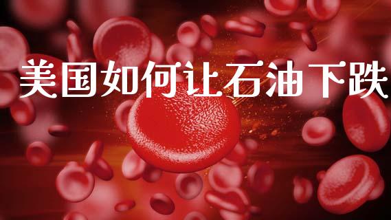 美国如何让石油下跌_https://wap.lxcailiao.com_融资担保_第1张