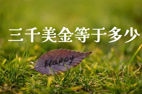 三千美金等于多少_https://wap.lxcailiao.com_股权投资_第1张