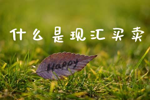 什么是现汇买卖_https://wap.lxcailiao.com_股权投资_第1张