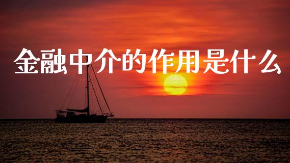 金融中介的作用是什么_https://wap.lxcailiao.com_金融监管_第1张