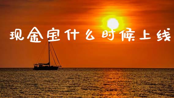 现金宝什么时候上线_https://wap.lxcailiao.com_财务管理_第1张