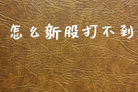 怎么新股打不到_https://wap.lxcailiao.com_股权投资_第1张