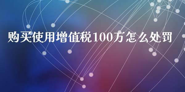 购买使用增值税100万怎么处罚_https://wap.lxcailiao.com_金融监管_第1张