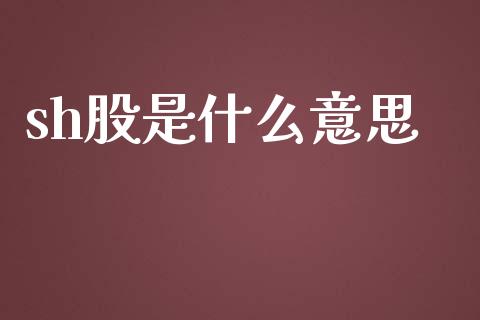 sh股是什么意思_https://wap.lxcailiao.com_财务管理_第1张