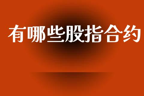 有哪些股指合约_https://wap.lxcailiao.com_财务管理_第1张