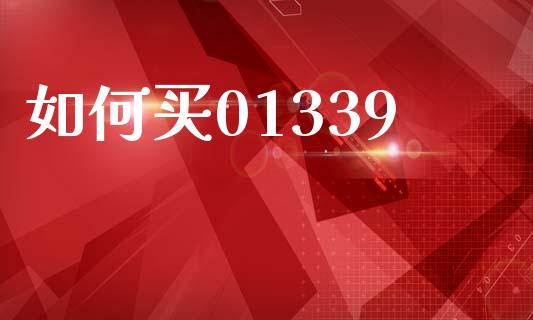 如何买01339_https://wap.lxcailiao.com_融资担保_第1张