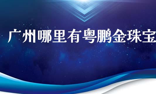 广州哪里有粤鹏金珠宝_https://wap.lxcailiao.com_股权投资_第1张