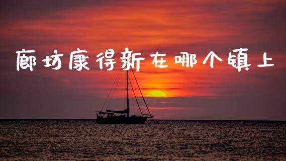 廊坊康得新在哪个镇上_https://wap.lxcailiao.com_融资担保_第1张