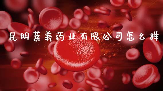 昆明莱美药业有限公司怎么样_https://wap.lxcailiao.com_融资担保_第1张