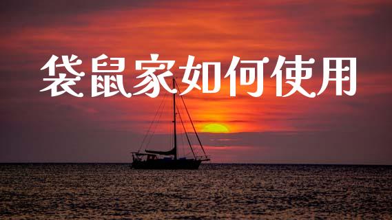 袋鼠家如何使用_https://wap.lxcailiao.com_金融监管_第1张
