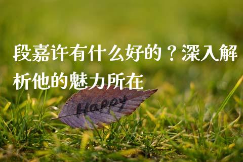 段嘉许有什么好的？深入解析他的魅力所在_https://wap.lxcailiao.com_融资担保_第1张