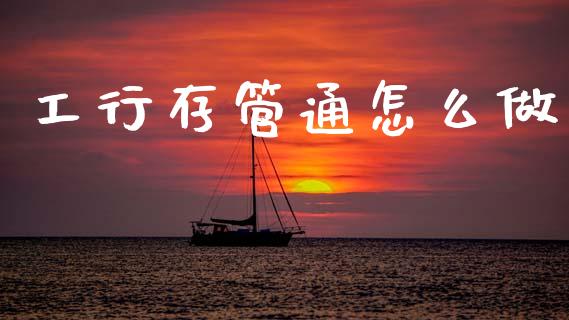 工行存管通怎么做_https://wap.lxcailiao.com_融资担保_第1张