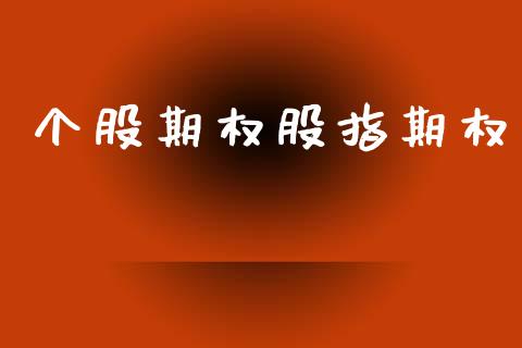 个股期权股指期权_https://wap.lxcailiao.com_金融监管_第1张