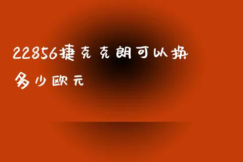 22856捷克克朗可以换多少欧元_https://wap.lxcailiao.com_财务管理_第1张