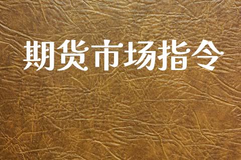 期货市场指令_https://wap.lxcailiao.com_金融监管_第1张