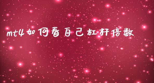 mt4如何看自己杠杆倍数_https://wap.lxcailiao.com_金融监管_第1张