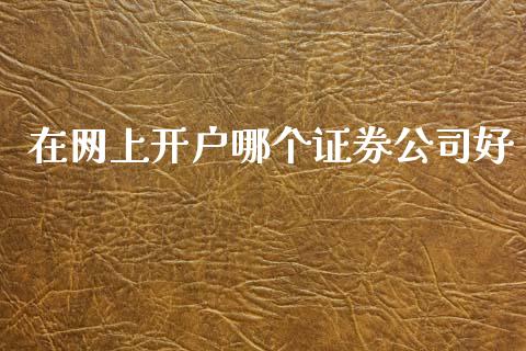 在网上开户哪个证券公司好_https://wap.lxcailiao.com_股权投资_第1张
