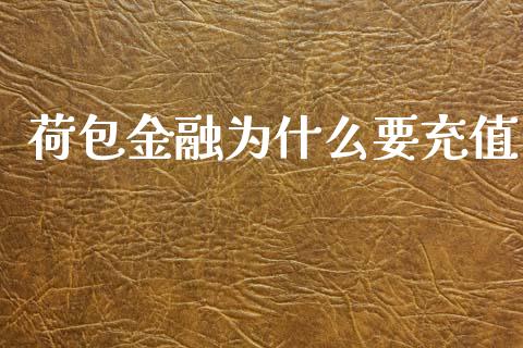 荷包金融为什么要充值_https://wap.lxcailiao.com_金融监管_第1张
