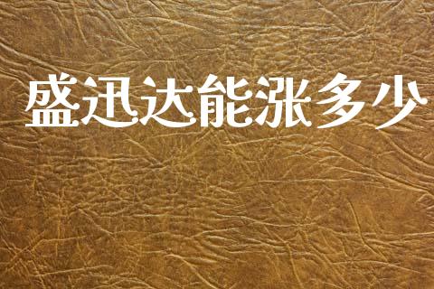 盛迅达能涨多少_https://wap.lxcailiao.com_股权投资_第1张