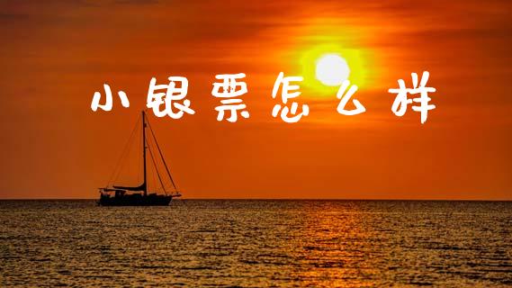 小银票怎么样_https://wap.lxcailiao.com_股权投资_第1张