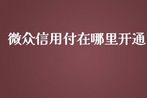 微众信用付在哪里开通_https://wap.lxcailiao.com_财务管理_第1张