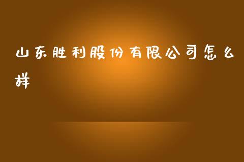 山东胜利股份有限公司怎么样_https://wap.lxcailiao.com_融资担保_第1张
