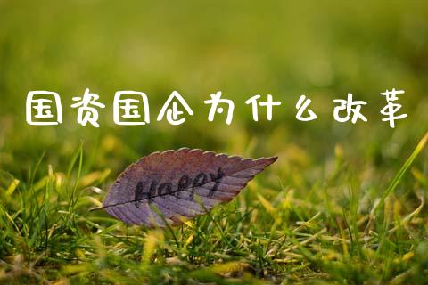 国资国企为什么改革_https://wap.lxcailiao.com_财务管理_第1张