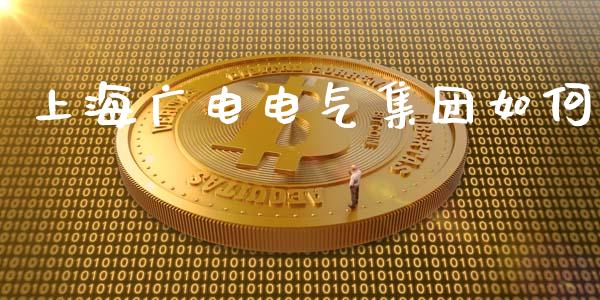上海广电电气集团如何_https://wap.lxcailiao.com_融资担保_第1张