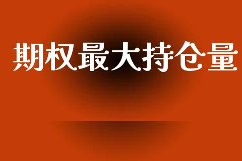 期权最大持仓量_https://wap.lxcailiao.com_融资担保_第1张