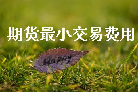 期货最小交易费用_https://wap.lxcailiao.com_融资担保_第1张