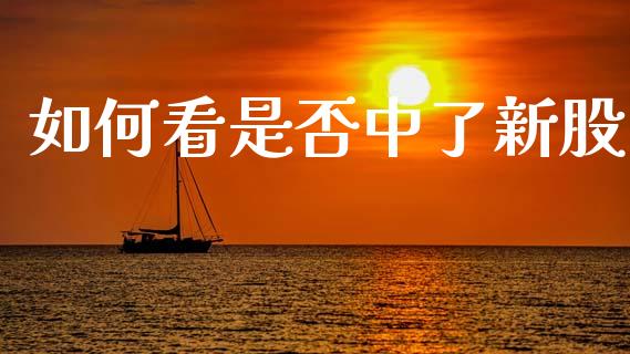 如何看是否中了新股_https://wap.lxcailiao.com_金融监管_第1张