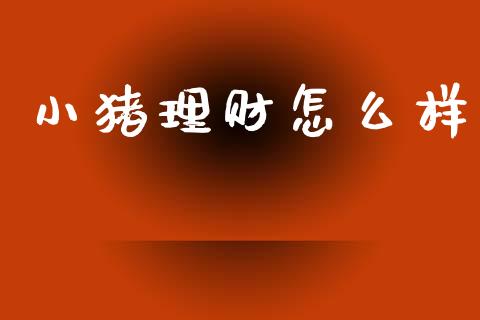 小猪理财怎么样_https://wap.lxcailiao.com_融资担保_第1张