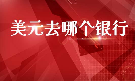 美元去哪个银行_https://wap.lxcailiao.com_股权投资_第1张