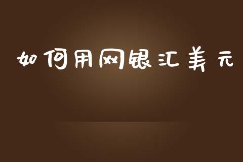如何用网银汇美元_https://wap.lxcailiao.com_融资担保_第1张