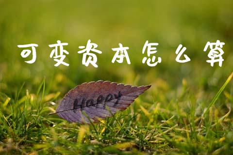 可变资本怎么算_https://wap.lxcailiao.com_融资担保_第1张