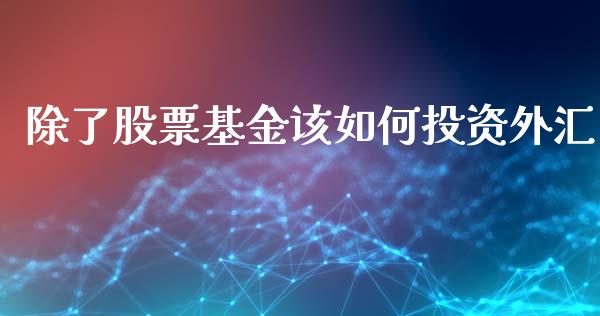 除了股票基金该如何投资外汇_https://wap.lxcailiao.com_融资担保_第1张