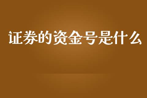 证券的资金号是什么_https://wap.lxcailiao.com_财务管理_第1张