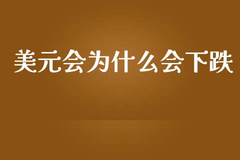 美元会为什么会下跌_https://wap.lxcailiao.com_金融监管_第1张