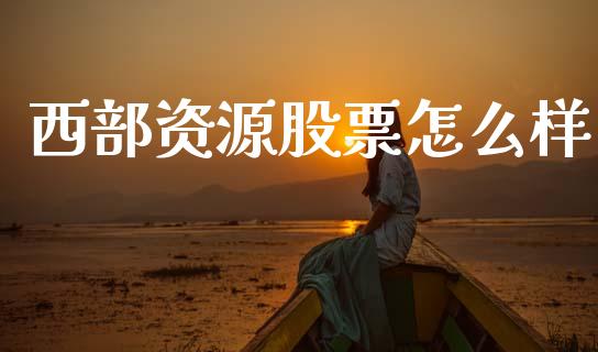 西部资源股票怎么样_https://wap.lxcailiao.com_金融监管_第1张
