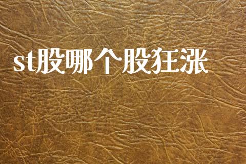 st股哪个股狂涨_https://wap.lxcailiao.com_财务管理_第1张