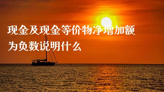 现金及现金等价物净增加额为负数说明什么_https://wap.lxcailiao.com_财务管理_第1张