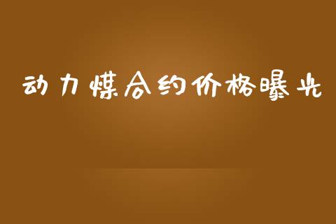动力煤合约价格曝光_https://wap.lxcailiao.com_融资担保_第1张