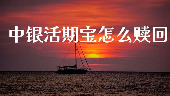 中银活期宝怎么赎回_https://wap.lxcailiao.com_股权投资_第1张