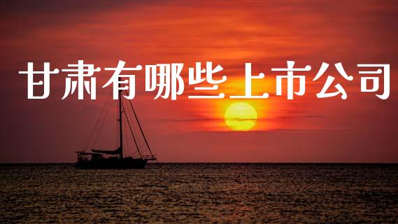甘肃有哪些上市公司_https://wap.lxcailiao.com_财务管理_第1张
