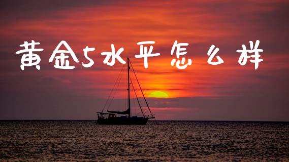 黄金5水平怎么样_https://wap.lxcailiao.com_融资担保_第1张