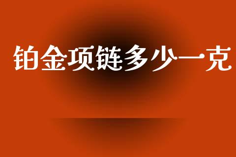 铂金项链多少一克_https://wap.lxcailiao.com_融资担保_第1张