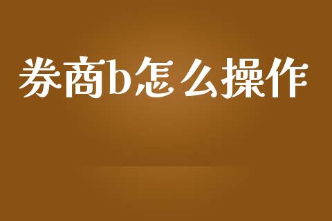 券商b怎么操作_https://wap.lxcailiao.com_股权投资_第1张